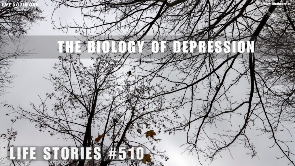 Are We Programmed for Depression? - Life Stories 510