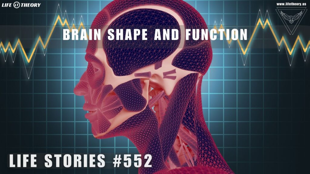 The Hidden Language of the Brain’s Shape - Life Stories 552