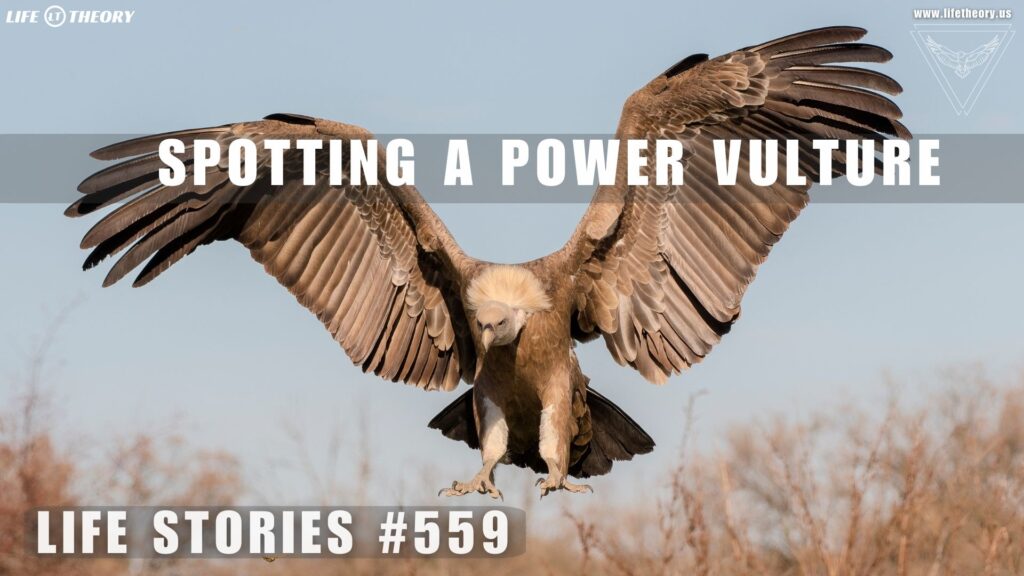 Spotting the Shadows of Manipulation - Life Stories 559